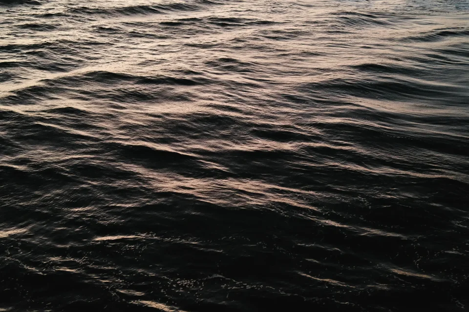 F3B506D5-83D9-483A-9E4A-C02BB0F7D1AE